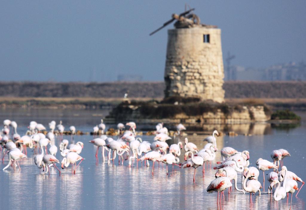 Appartamenti Trapani Mare Exteriér fotografie